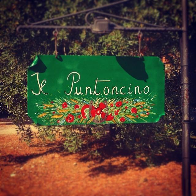 Agriturismo Il Puntoncino Marsiliana Buitenkant foto