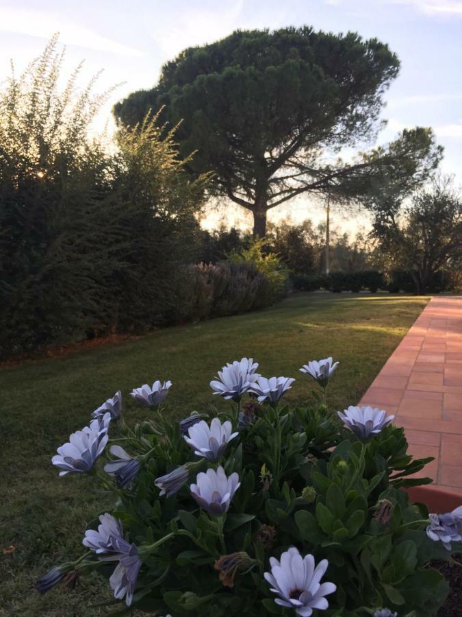 Agriturismo Il Puntoncino Marsiliana Buitenkant foto